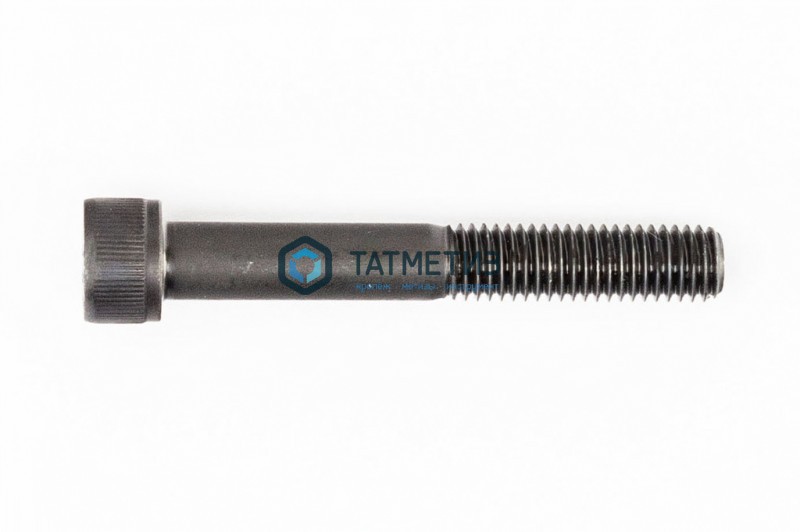 Винт с внутр 6-гр DIN 912, оц 10х 70 (уп 25 кг/ 490 шт)* Винт с внутр 6-гр DIN 912, оц 10х 70 (уп 25 кг/ 490 шт)*